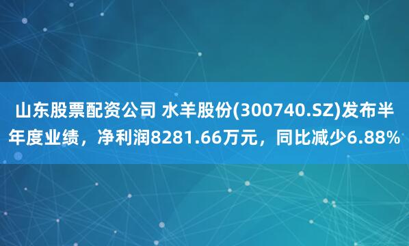 山东股票配资公司 水羊股份(300740.SZ)发布半年度业绩，净利润8281.66万元，同比减少6.88%